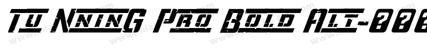 Tu NninG Pro Bold Alt字体转换